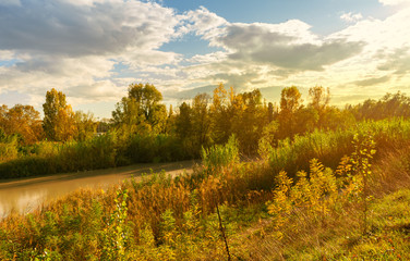 autumn landscape in amazing sunny day. Panoramic scenic sunset with trees and river