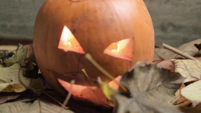 Halloween carved pumpkin as autumn leaves moving as breeze blows in