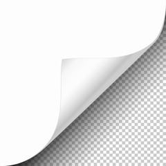 Vector Platinum Curled Glossy Foil Corner of White Paper with Shadow Mock up Close up Isolated on Transparent Background