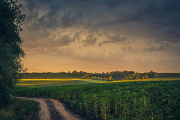 Obraz premium Sunrise on river