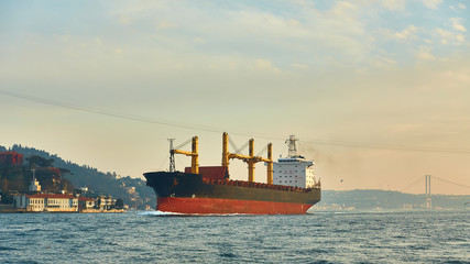 Fototapeta premium A cargo ship in the Bosphorus, Istanbul, Turkey.