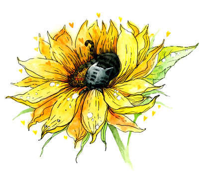 A cute cat that sleeps on a sunflower. Watercolor illustration, handwork