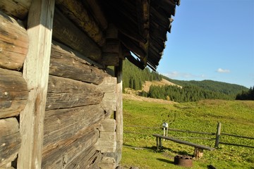  by a wooden house in the mountains