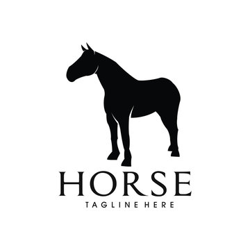 Illustration black horse silhouette animal logo vector design