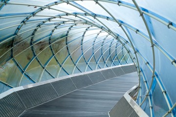 Structural glass facade curving roof and the wooden pathway inside. Abstract architecture fragment....