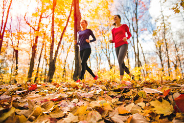 Obraz premium Two running woman jogging in autumn nature