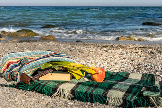 Picnic on a beach; reading on a sea side
