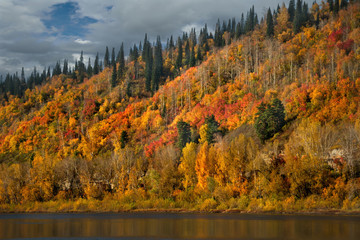 Russia. South Of Western Siberia, Kuznetsk Alatau. The upper reaches of the Tom river near the city of Mezhdurechensk.