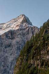 Fototapeta na wymiar Forest with mount Triglav in background