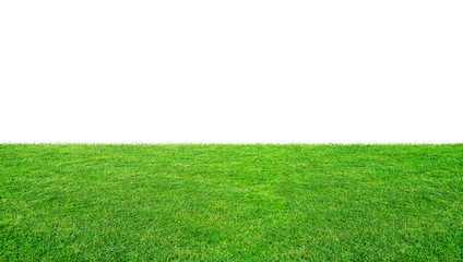 Fototapeta premium Green grass meadow field from outdoor park isolated in white background with clipping path. Outdoor countryside meadow nature. Landscape of grass field in public park.