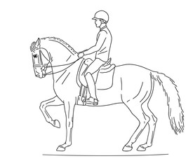 Fototapeta na wymiar Rider is riding on a Spanish horse