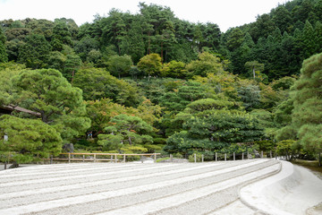 Parque en kioto