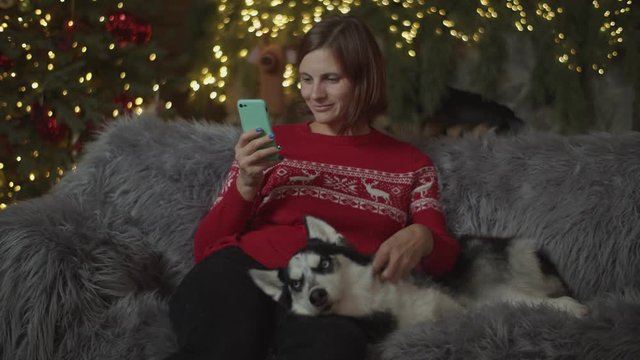Brunette female in red pullover surfing online in gadget and petting Siberian Husky on sofa in Christmas decoration in slow motion with blurred lights behind. 