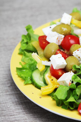 Traditional Greek salad on the plate	