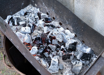 cooking on fire barbecue on burning wood in the grill