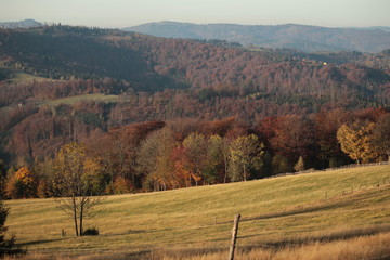 Fototapeta premium autumn nature