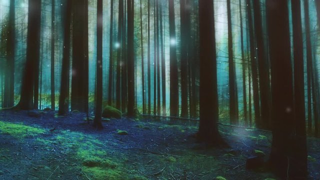 Enchanted forest with fairy lights
