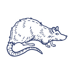 Rat or Mouse Hand Drawn on white background. Vector