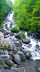 Beautiful waterfall in the green forest. Valley with waterfall. Waterfall green forest river landscape.