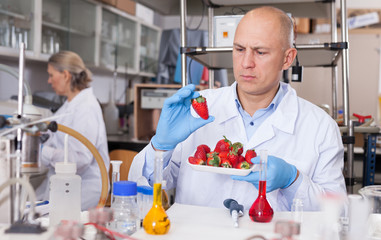 Geneticist working with fruits and vegetables