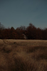 Obraz premium autumn house