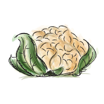 Cavolfiore verde dall'orto