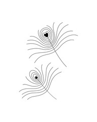 Simple black line drawing of a peacock feather, vector illustration