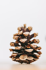 Pomme de pin en décoration d'intérieur naturelle
