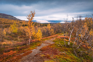 Abisko National Park in polar Sweden in golden autumn 