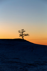 Tree silhouette on the cliff rocks and sunset over the nature landscape
