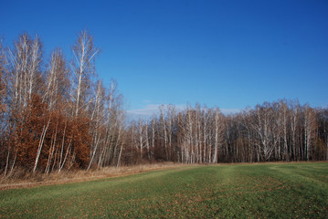 on the threshold of winter