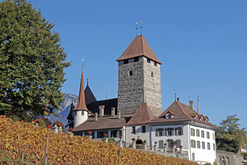 Schloss Spiez am Thunersee, Schweiz