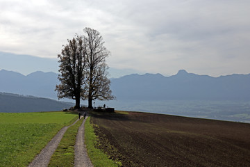 Aussicht von Ballenbühl bei Worb,, Berner Alpen, Schweiz