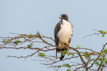Desierto de la Guajira