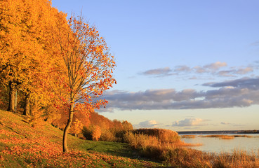 Park in Riga at autumn, Latvia, Europe.