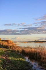 Park in Riga at autumn, Latvia, Europe.