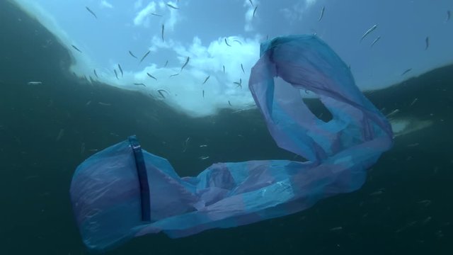 Plastic pollution, blue bag and school of Sand Smelt swims underwater on background blue sky with clouds. Low-angle shot. Plastic debris underwater. Plastic garbage environmental pollution problem