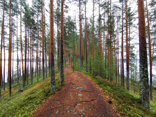 Obraz premium finland national park