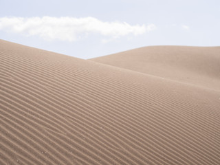 Naklejka premium Beautiful virgin sand dunes in desert in summer, Maspalomas Spain