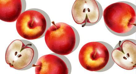 A bunch of red apples, half sliced. Vector