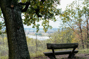 Blank wooden banch in the park in autumn time