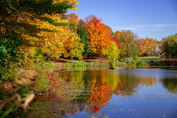 Autumn Trees reflected on peaceful lake 