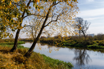 Jesień w Dolinie Górnej Narwi - Podlasie - Polska © podlaski49