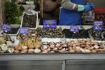 pesacados maricos y moluscos vendido en el mercado de atarazanas malaga