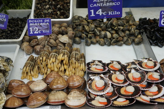 pesacados maricos y moluscos vendido en el mercado de atarazanas malaga navajas conchas finas zamburi&ntilde;as