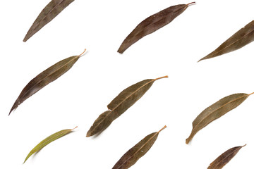Flat background lined from dry plants. Autumn herbarium of leaves.