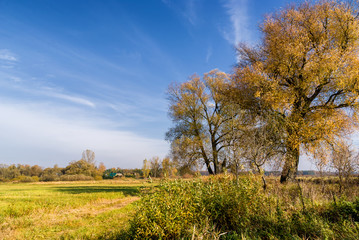 Jesień w Dolinie Górnej Narwi - Podlasie - Polska © podlaski49
