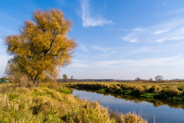 Jesień w Dolinie Górnej Narwi - Podlasie - Polska