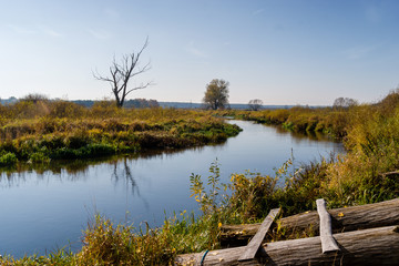 Jesień w Dolinie Górnej Narwi - Podlasie - Polska © podlaski49