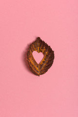 Background group autumn orange, green, yellow and brown leaves. with the heart shape cut out in the middle on pink background. Studio shoot. View from above. Horizontal orientation. Copy space